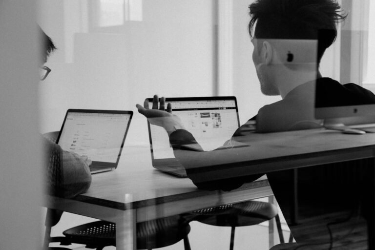 Data Analyst IA